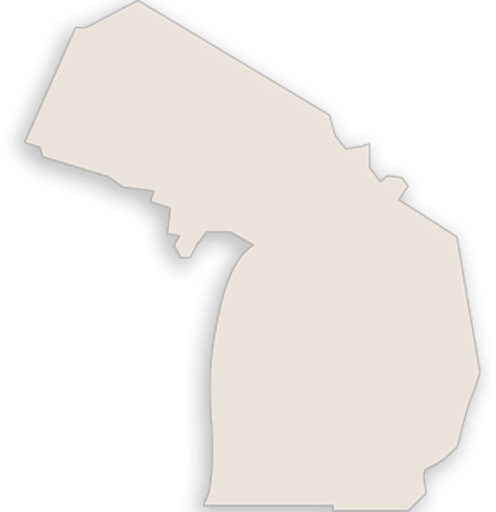 Michigan Rules of Gold